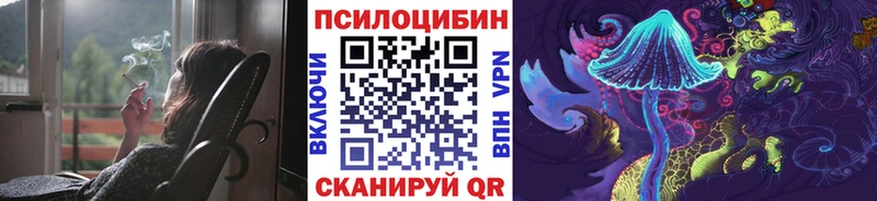 KRAKEN ONION  Калтан  Галлюциногенные грибы GOLDEN TEACHER 